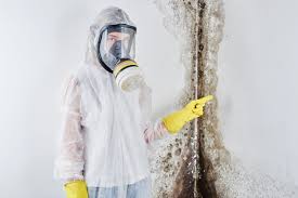 Mold Remediation for Rental Properties in Wellsville, OH